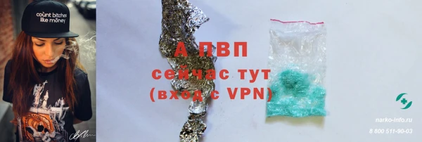 apvp Елизово