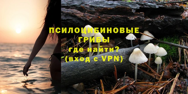 крисы Дмитриев