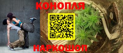крисы Кимры