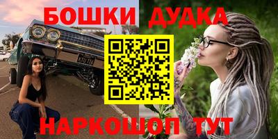 мдпв Кингисепп
