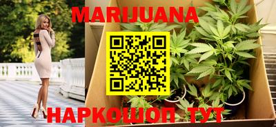 мдпв Кингисепп