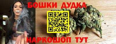 мдпв Кингисепп