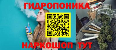 крисы Кимры