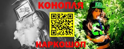 мдпв Кингисепп