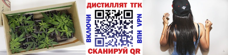 ТГК Wax  мега вход  Солнечногорск 