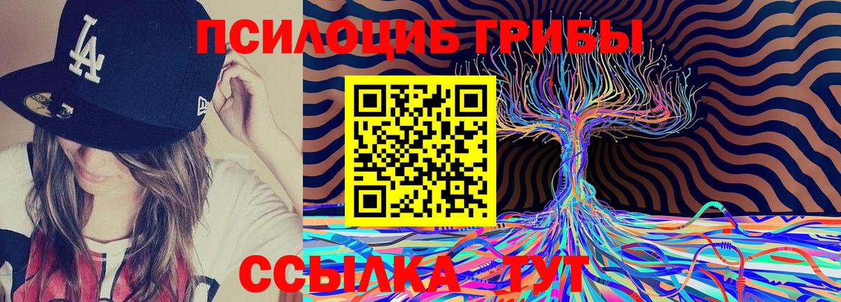 Псилоцибиновые грибы GOLDEN TEACHER Солнечногорск