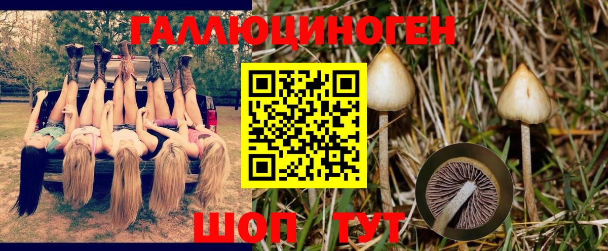 наркота  Вход с VPN  Солнечногорск  Галлюциногенные грибы MAGIC MUSHROOMS 