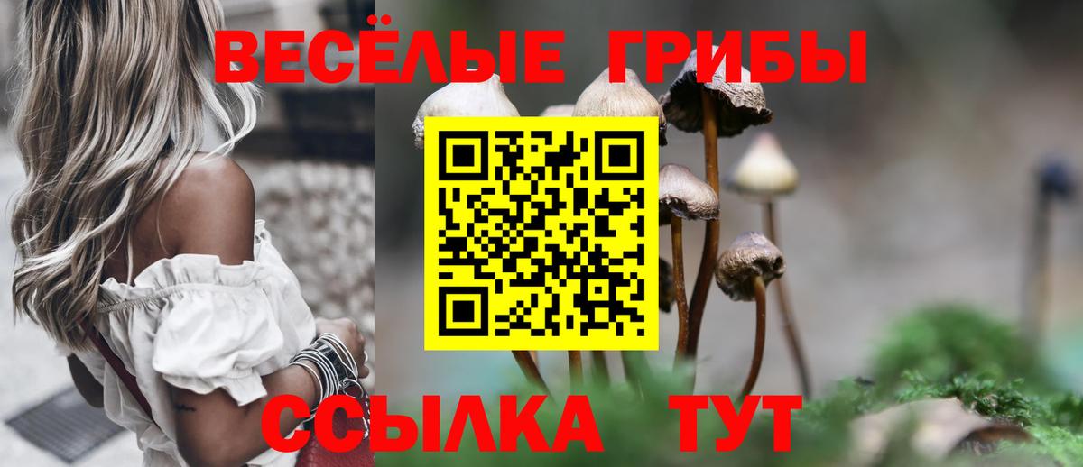 Галлюциногенные грибы мухоморы Солнечногорск